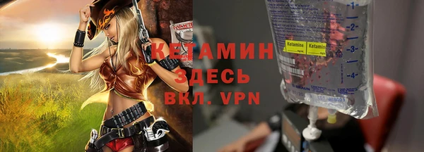хмурый Аркадак