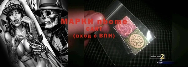 хмурый Аркадак