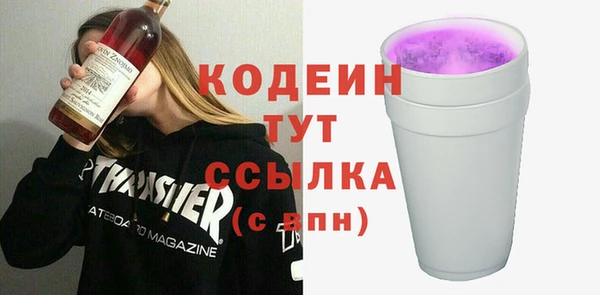 хмурый Аркадак