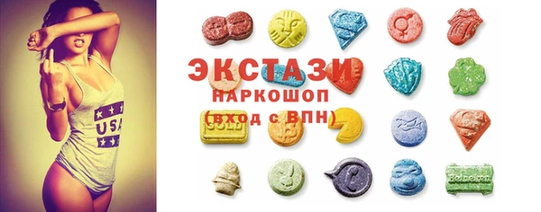 хмурый Аркадак