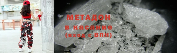 хмурый Аркадак