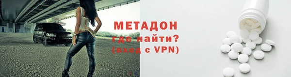 хмурый Аркадак