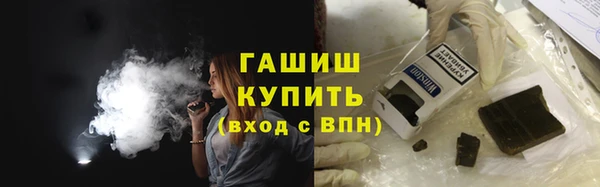 хмурый Аркадак