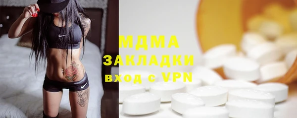 хмурый Аркадак
