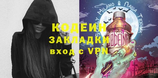 хмурый Аркадак