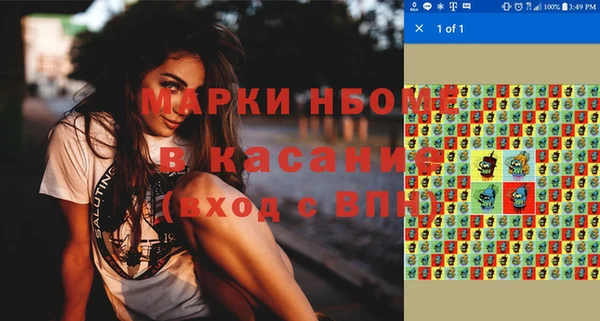 хмурый Аркадак