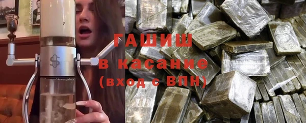 хмурый Аркадак